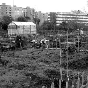 Trajectoires et transitions socio-écologiques métropolitaines