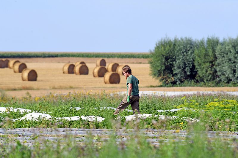 Concevoir la résilience alimentaire des métropoles